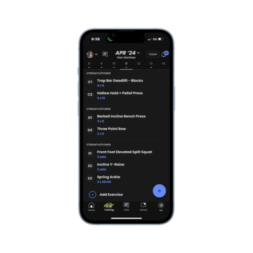 ALESTRA (512 x 512 px) (5)